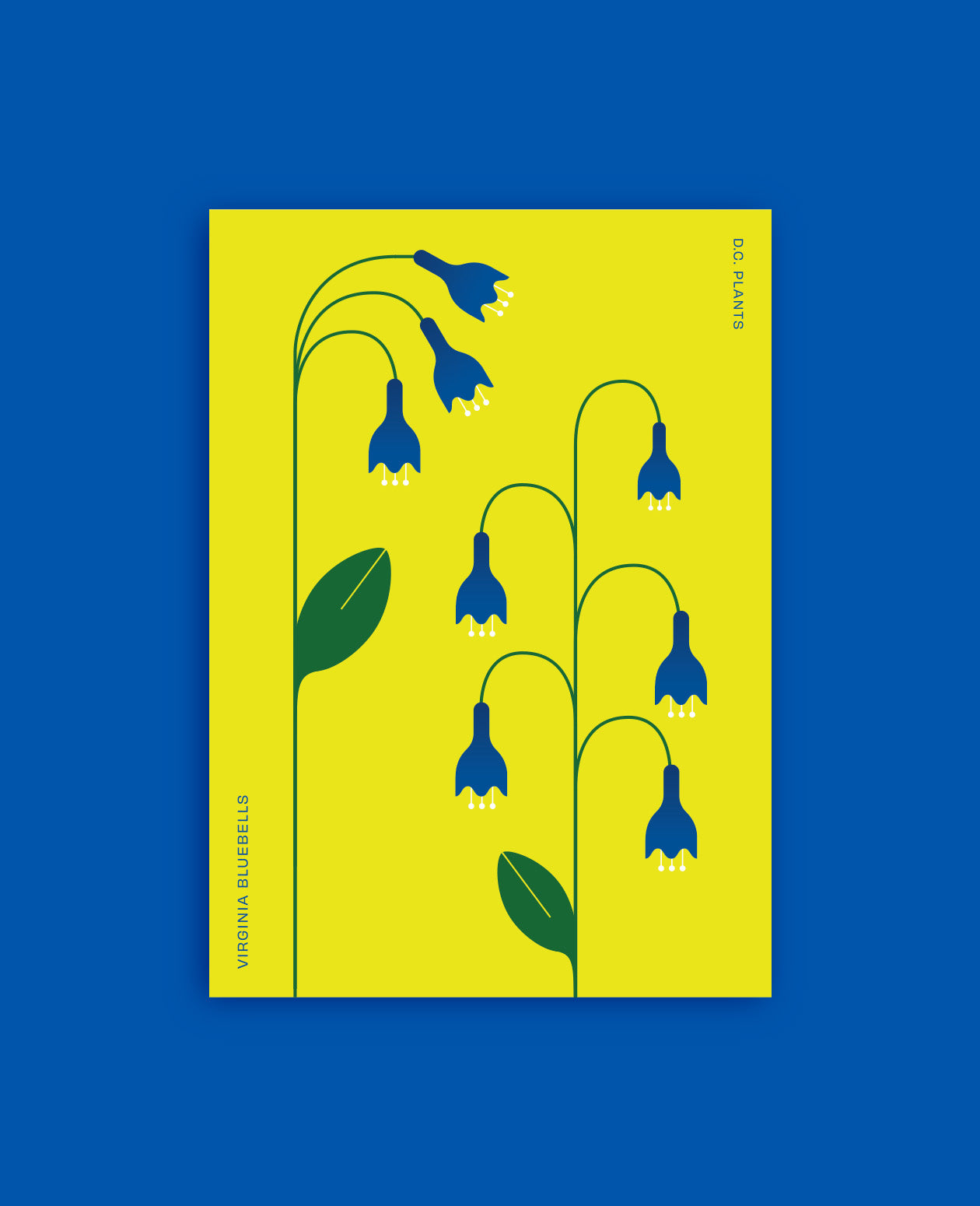 The DC Native Plants Postcard Set