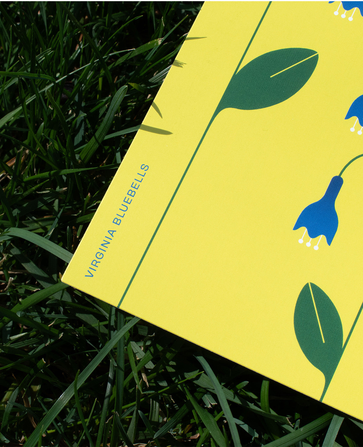 Washington DC Native Plants Postcard
