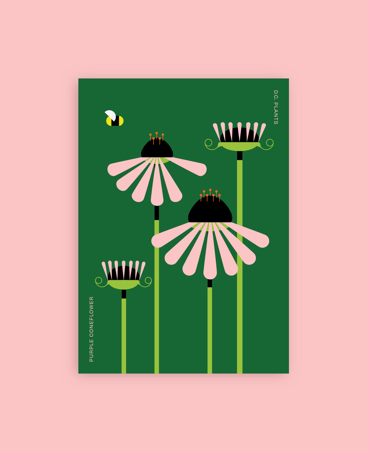 The DC Native Plants Postcard Set