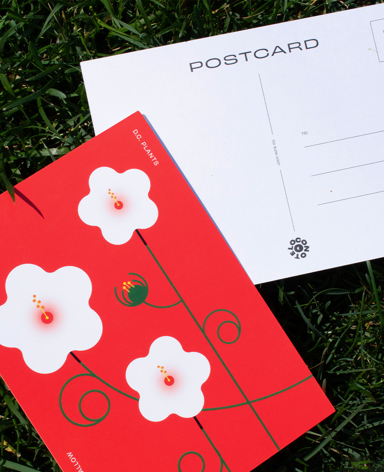 The DC Native Plants Postcard Set