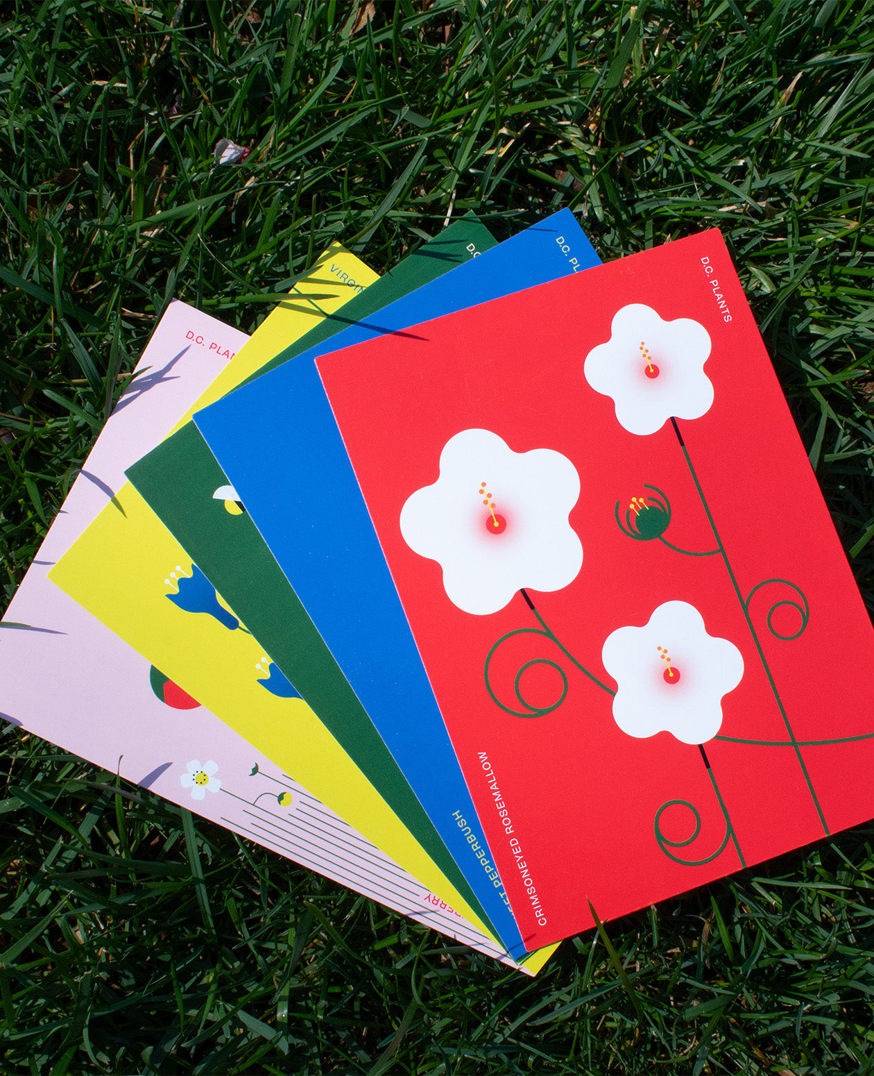 The DC Native Plants Postcard Set