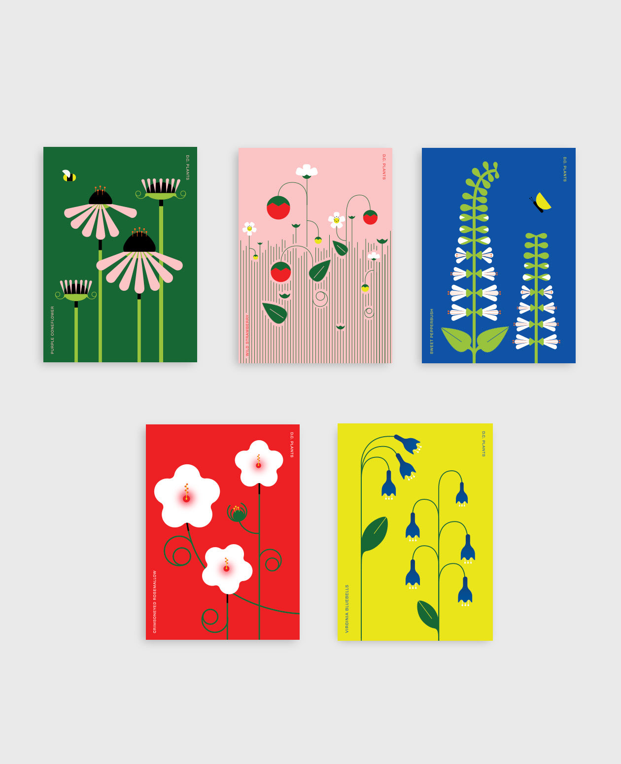 The DC Native Plants Postcard Set