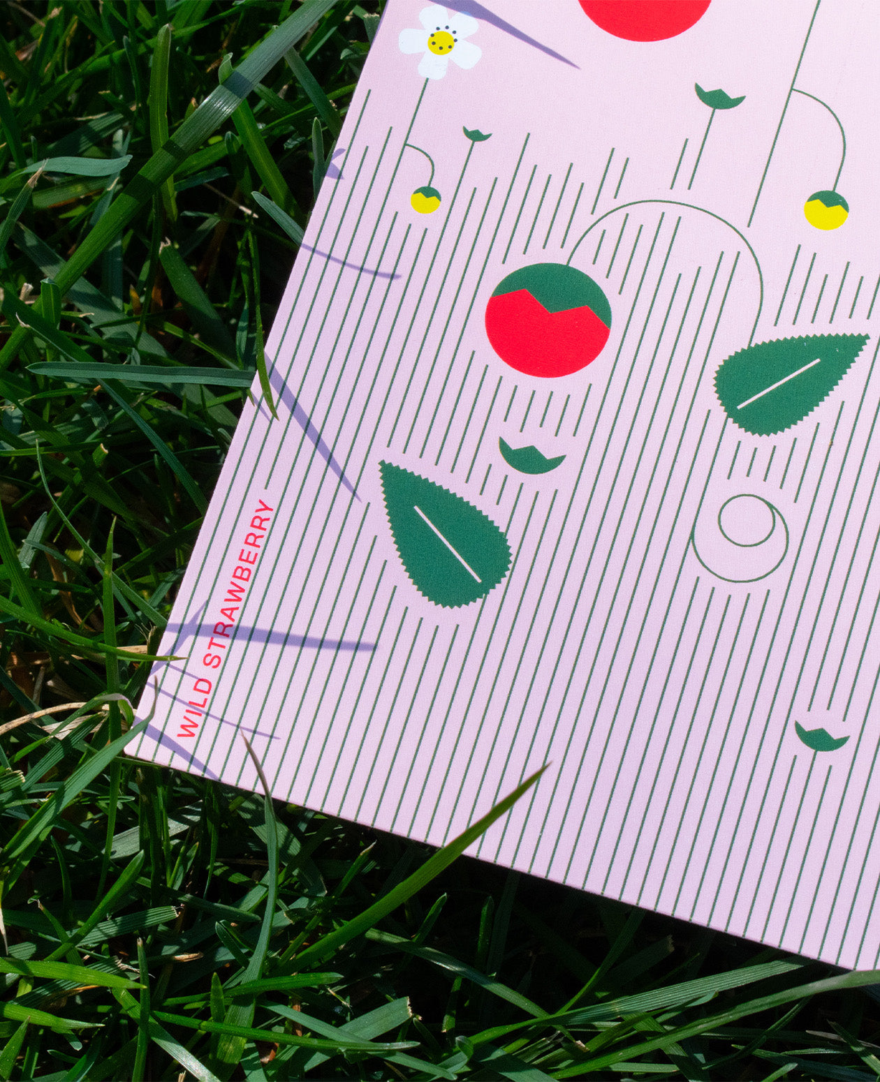 Washington DC Native Plants Postcard