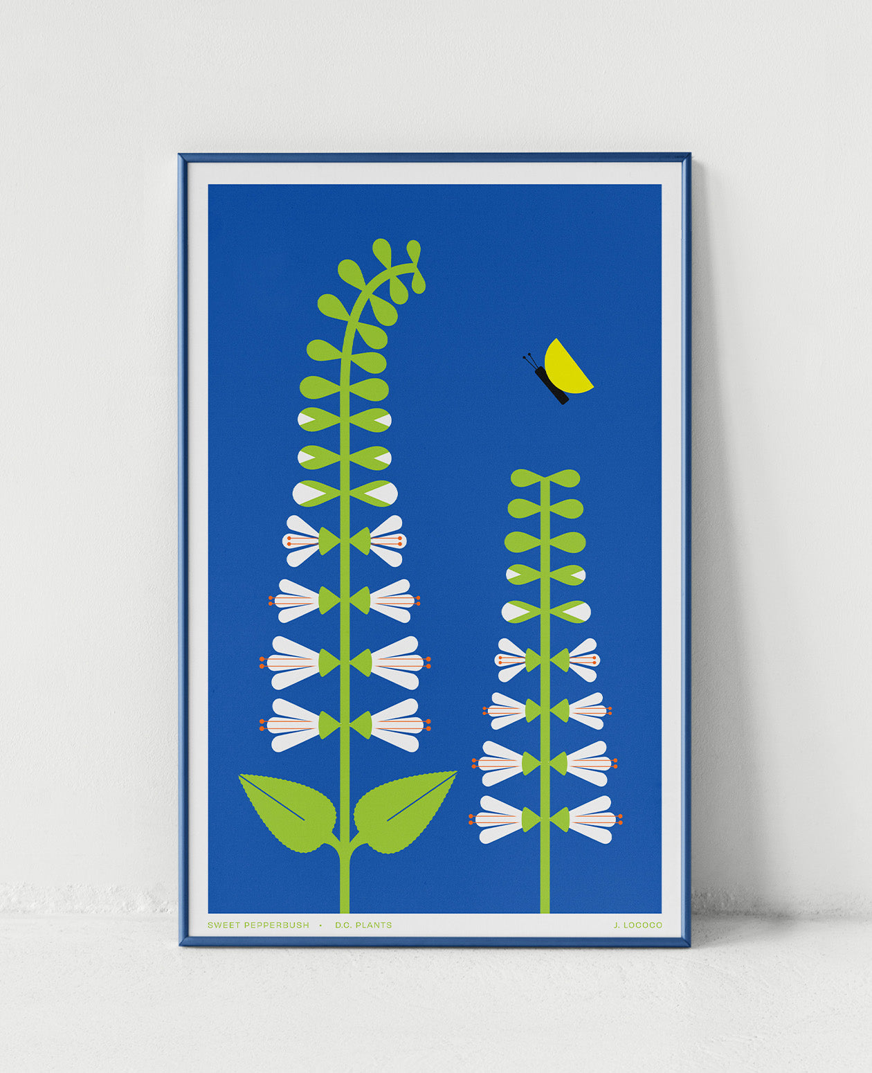 Sweet Pepperbush D.C. Plants Art Print