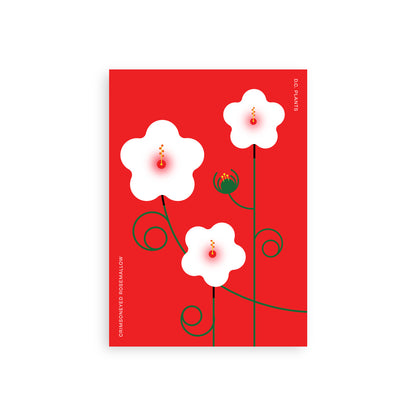 D.C. Plants Postcard Set
