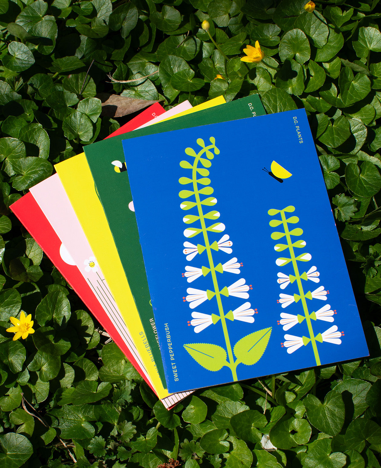 D.C. Native Plants Greeting Card Original Illustration Pack: Set of 5