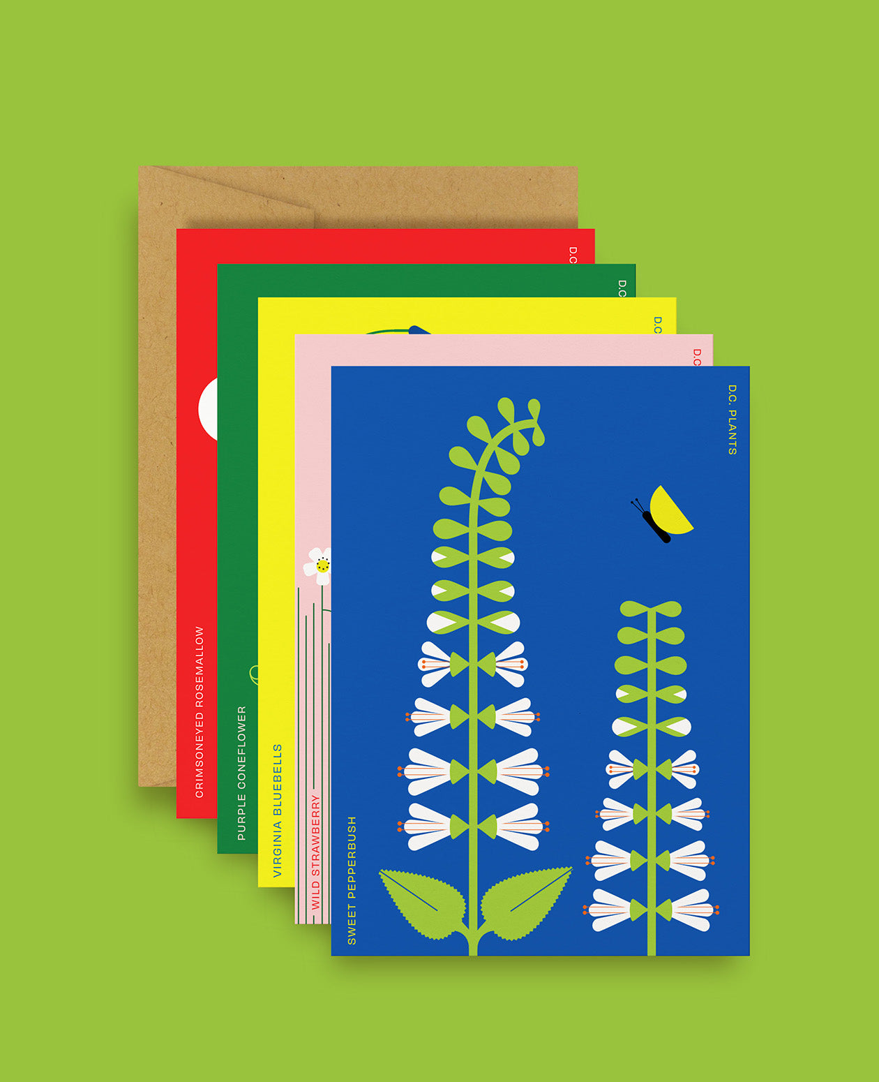 D.C. Native Plants Greeting Card Original Illustration Pack: Set of 5