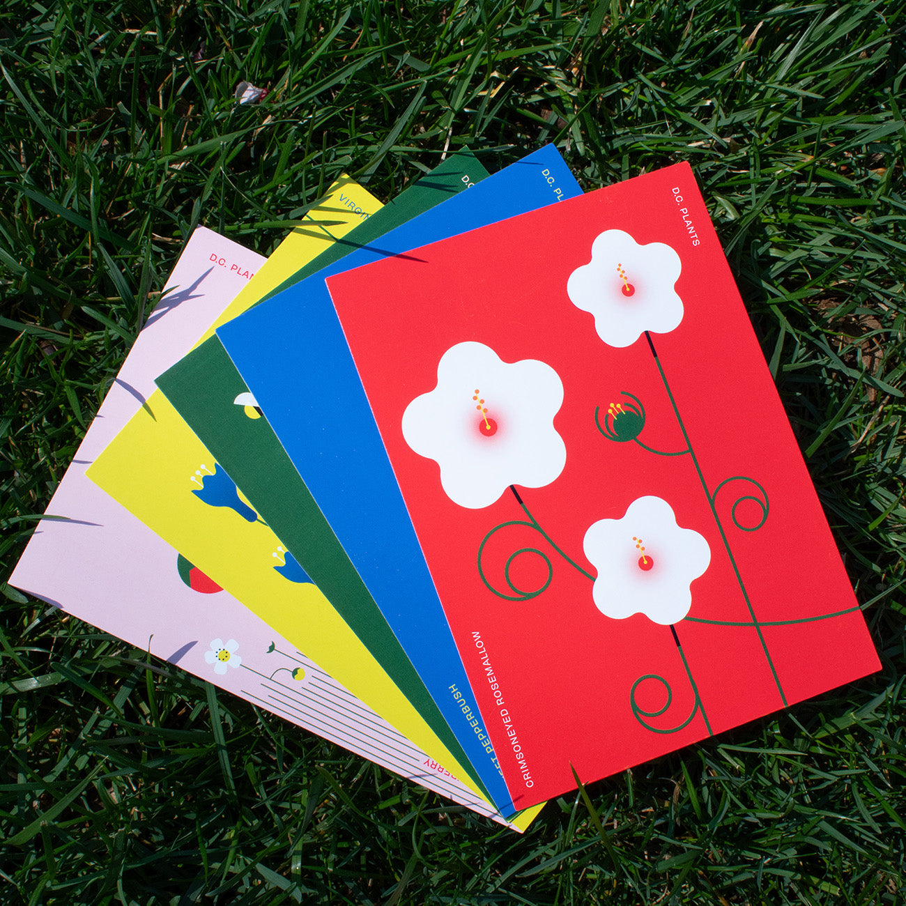 D.C. Plants Postcard Set