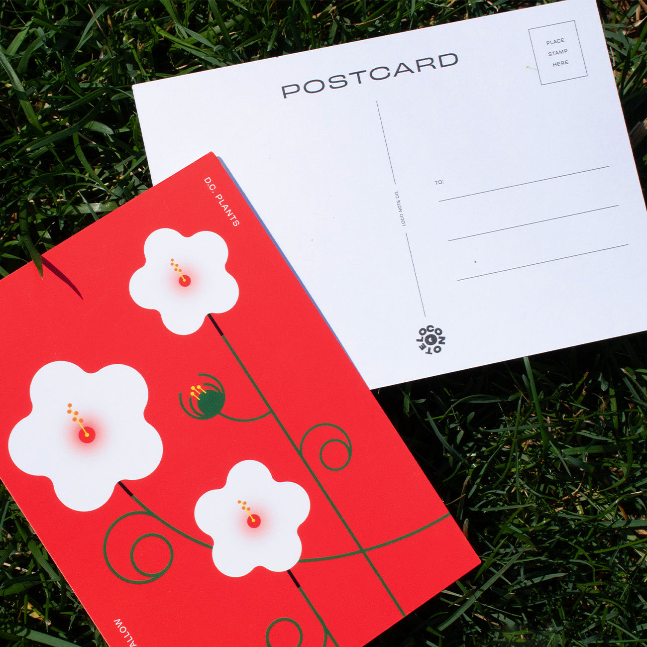 D.C. Plants Postcard Set