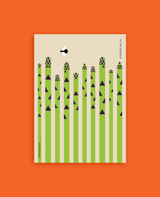 Asparagus Botanical Postcard: In the Garden Illustration