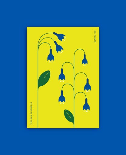 The DC Native Plants Postcard Set
