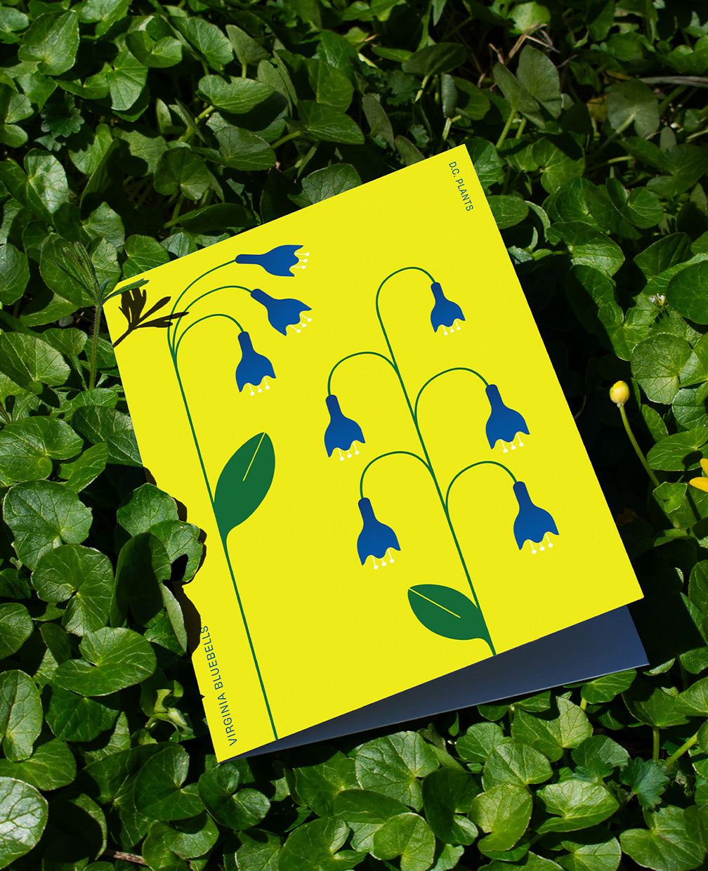 Bluebells D.C. Plant Greeting Card