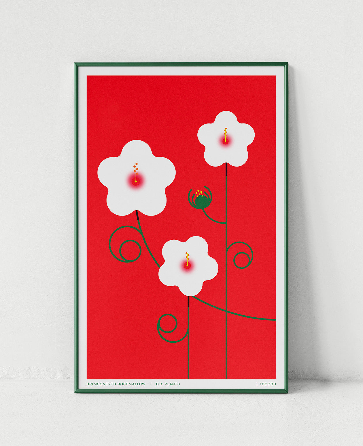 Crimsoneyed Rosemallow D.C. Plants Art Print
