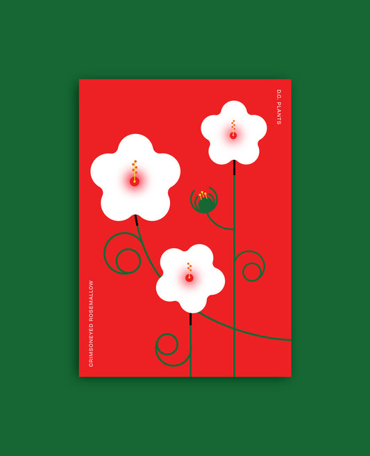 Washington DC Native Plants Postcard