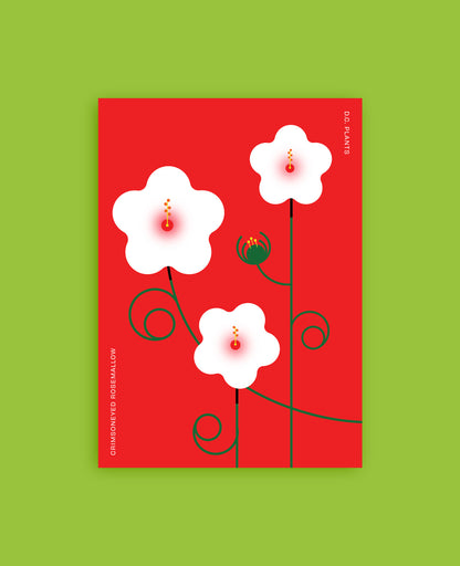 Crimsoneyed Rosemallow Postcard: D.C. Native Plant Illustration