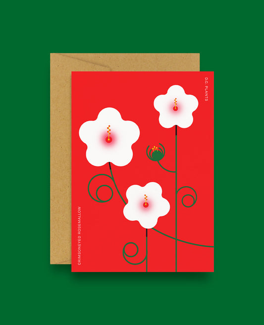 D.C. Native Plants Greeting Card