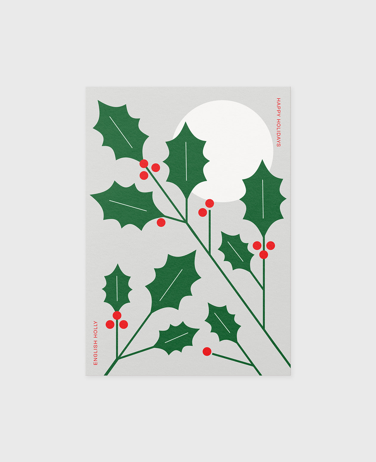English Holly Illustrated Greeting Card