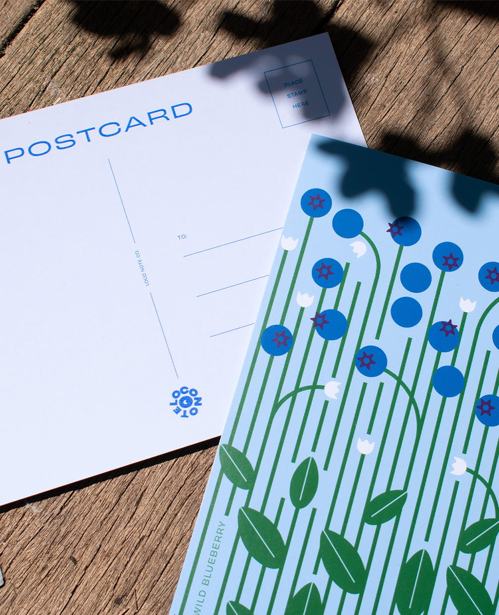 In the Garden Botanical Illustration Postcard Set