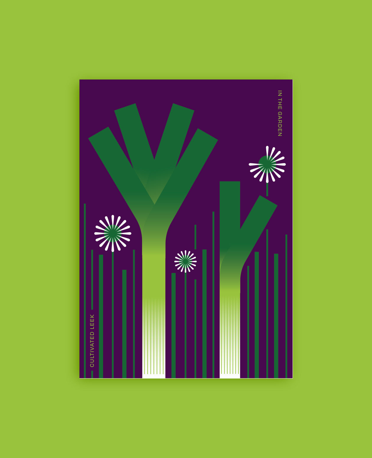 Cultivated Leek Botanical Postcard: In the Garden Illustration