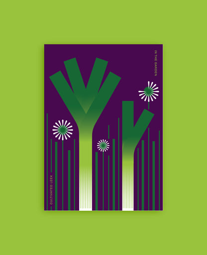 Cultivated Leek Botanical Postcard: In the Garden Illustration