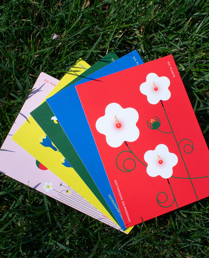 The DC Native Plants Postcard Set