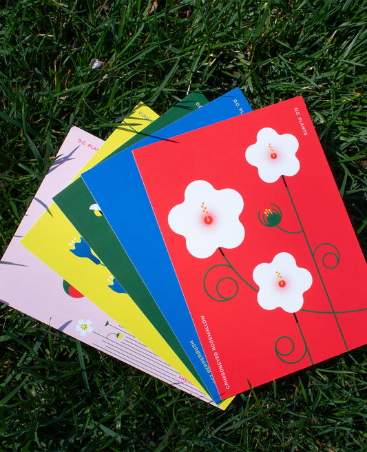 The DC Native Plants Postcard Set