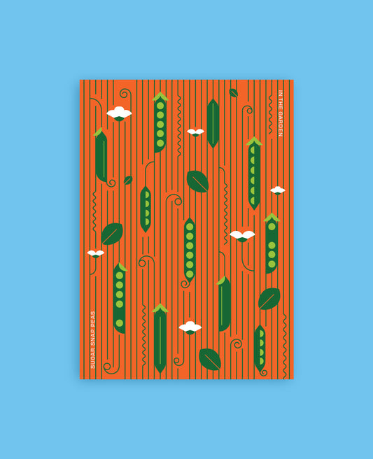 Sugar Snap Pea Botanical Postcard: In the Garden Illustration
