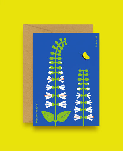 Sweet Pepperbush D.C. Plant Greeting Card