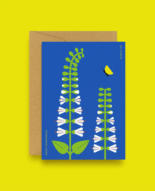 Sweet Pepperbush D.C. Plant Greeting Card