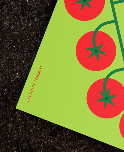 Celebrity Tomato Botanical Postcard: In the Garden Illustration