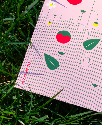 Wild Strawberries Postcard: D.C. Native Plant Illustration