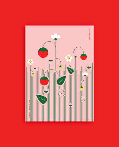 The DC Native Plants Postcard Set