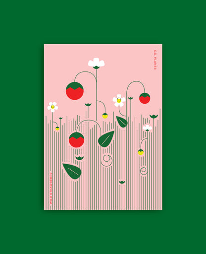 Wild Strawberries Postcard: D.C. Native Plant Illustration