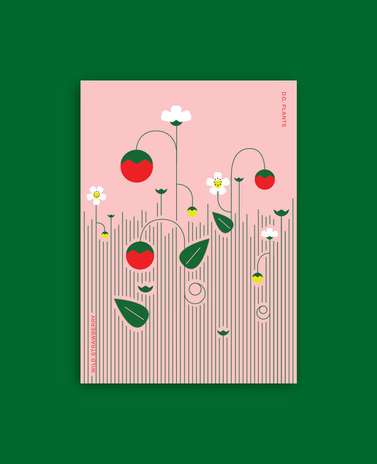 Wild Strawberries Postcard: D.C. Native Plant Illustration