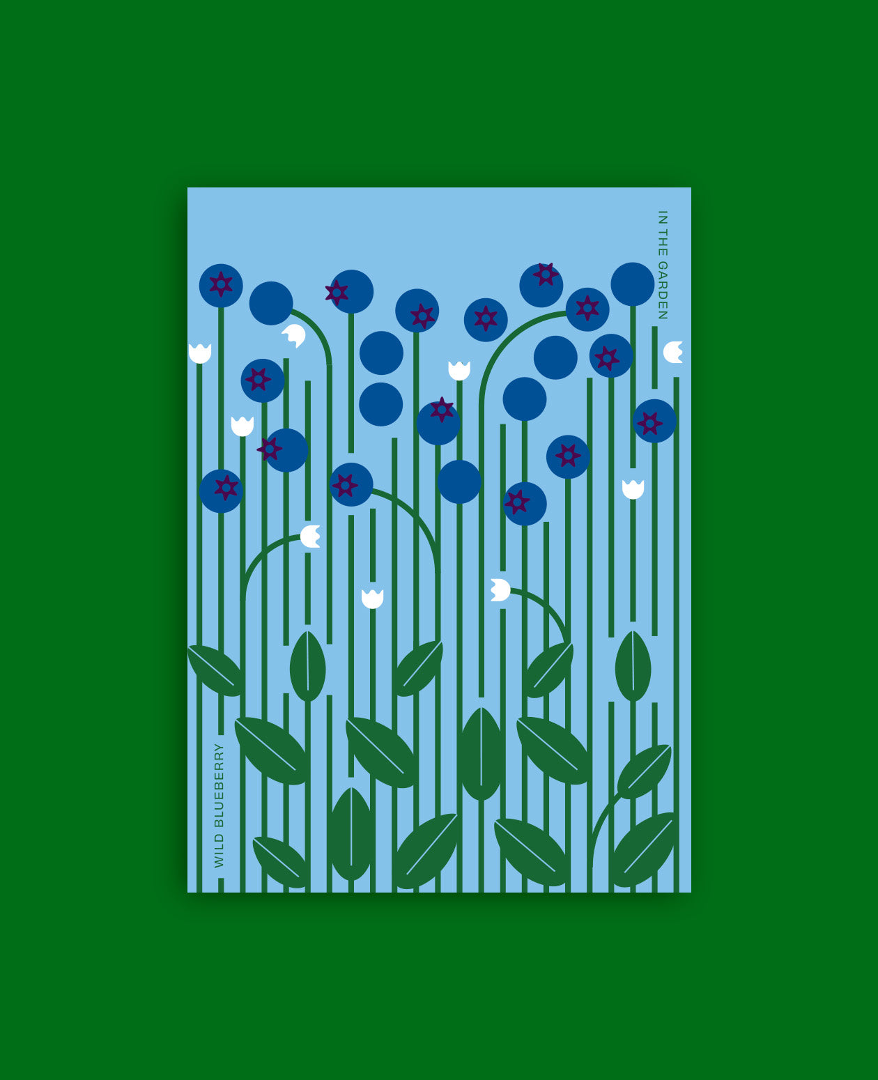 Wild Blueberries Botanical Postcard: In the Garden Illustration