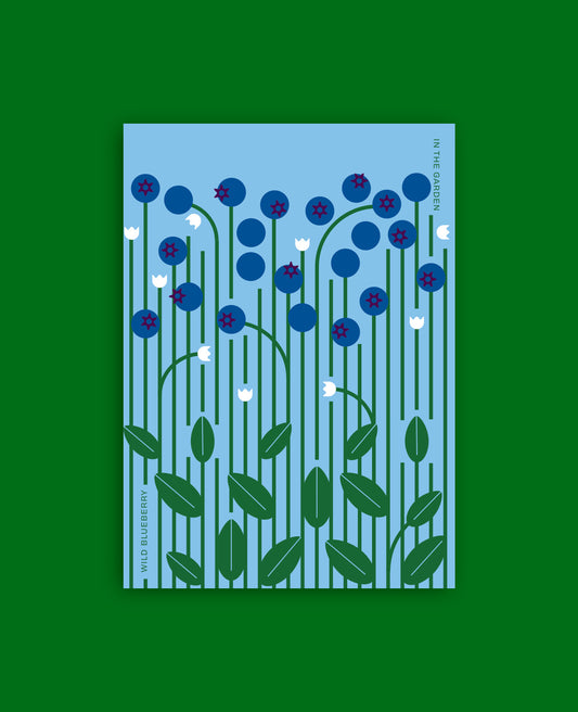 Wild Blueberries Botanical Postcard: In the Garden Illustration