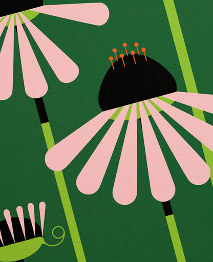 Purple Coneflower D.C. Plants Art Print