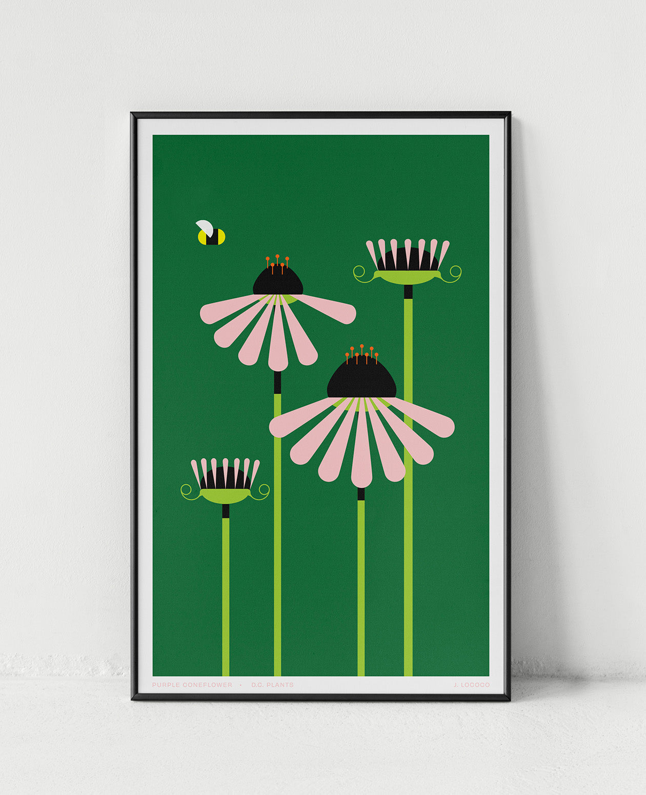 Purple Coneflower D.C. Plants Art Print