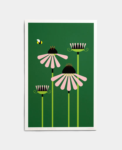 Purple Coneflower D.C. Plants Art Print