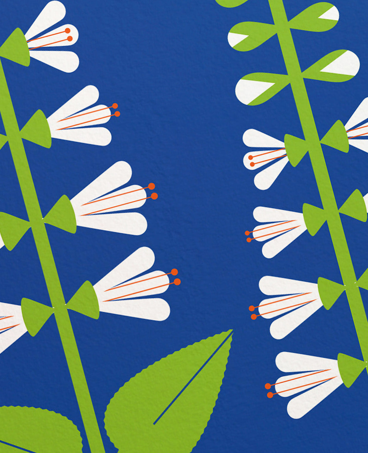 Sweet Pepperbush D.C. Plants Art Print