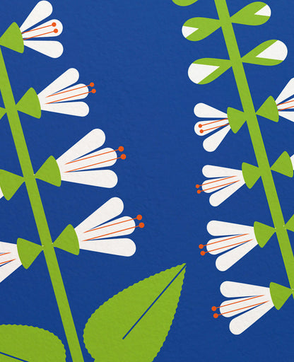 Sweet Pepperbush D.C. Plants Art Print