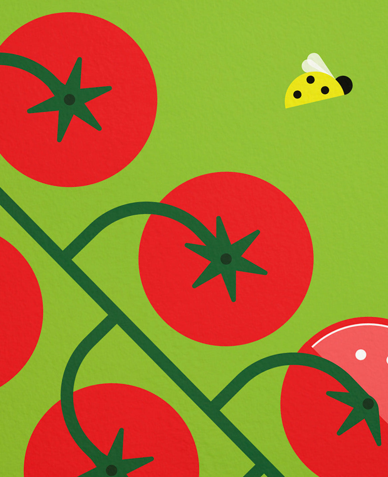 Celebrity Tomato In the Garden Art Print