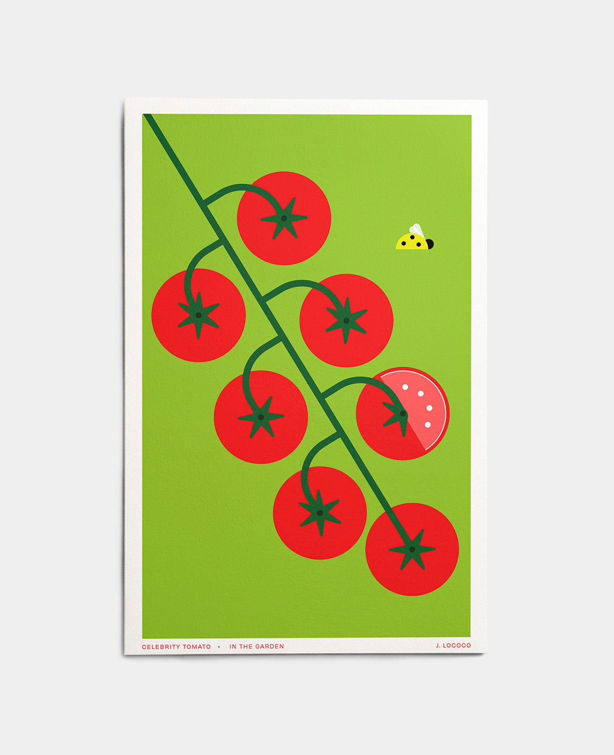 Celebrity Tomato In the Garden Art Print