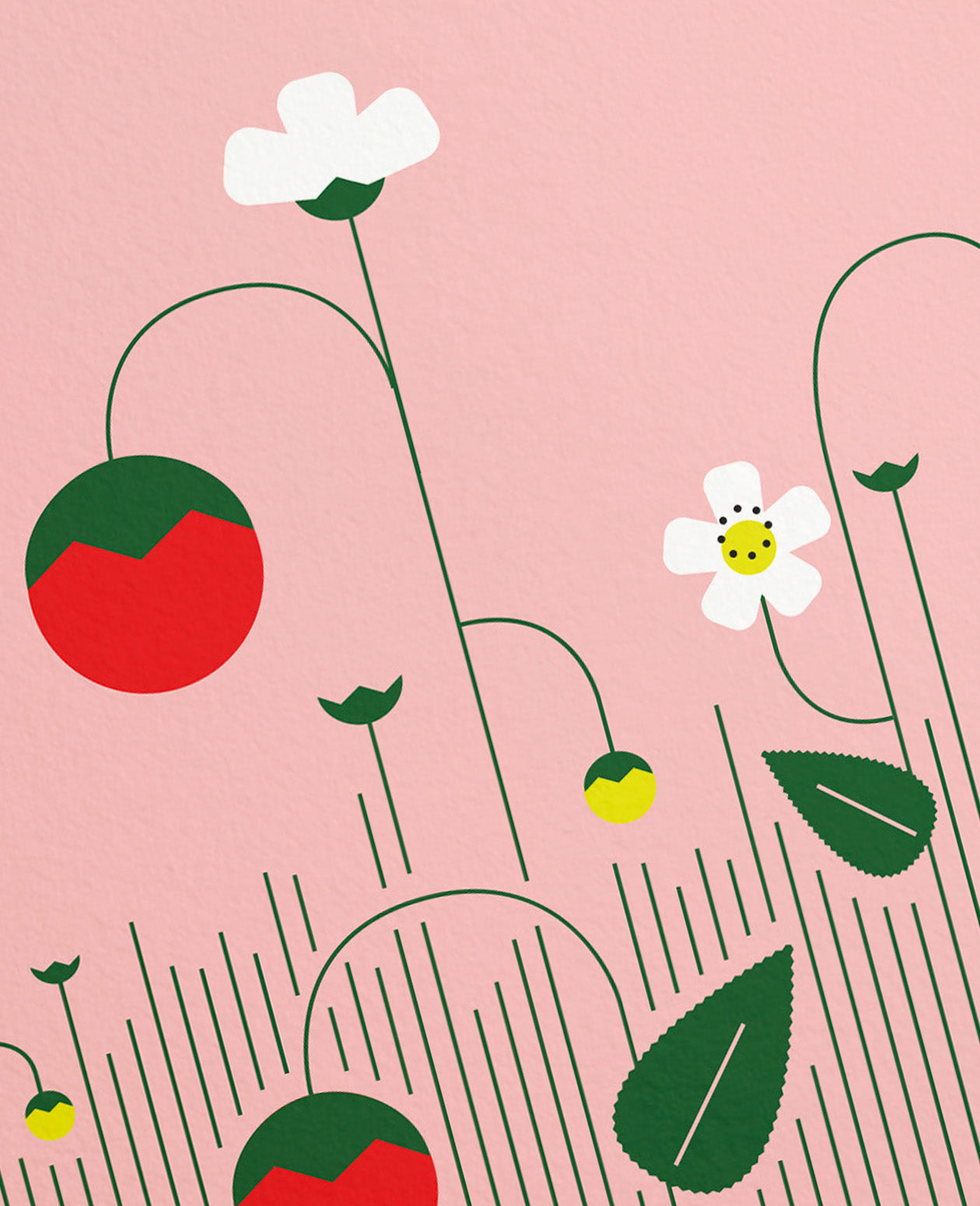 Wild Strawberries D.C. Plants Art Print