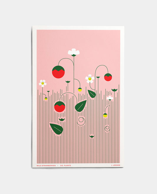 Wild Strawberries D.C. Plants Art Print